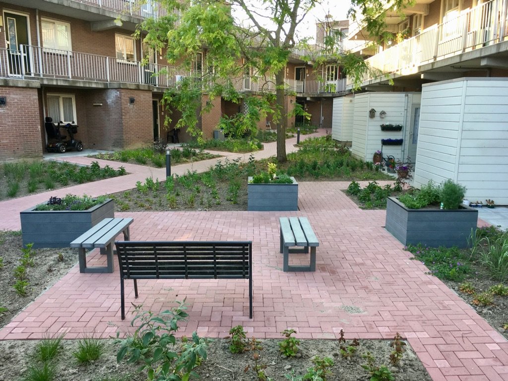 Nieuwe tuin