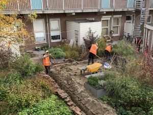 ravage tuin