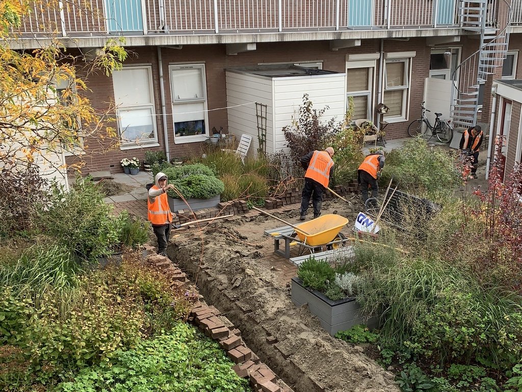 ravage tuin