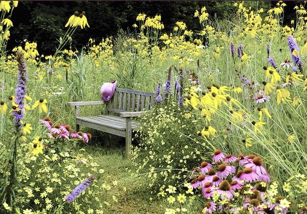 tuin