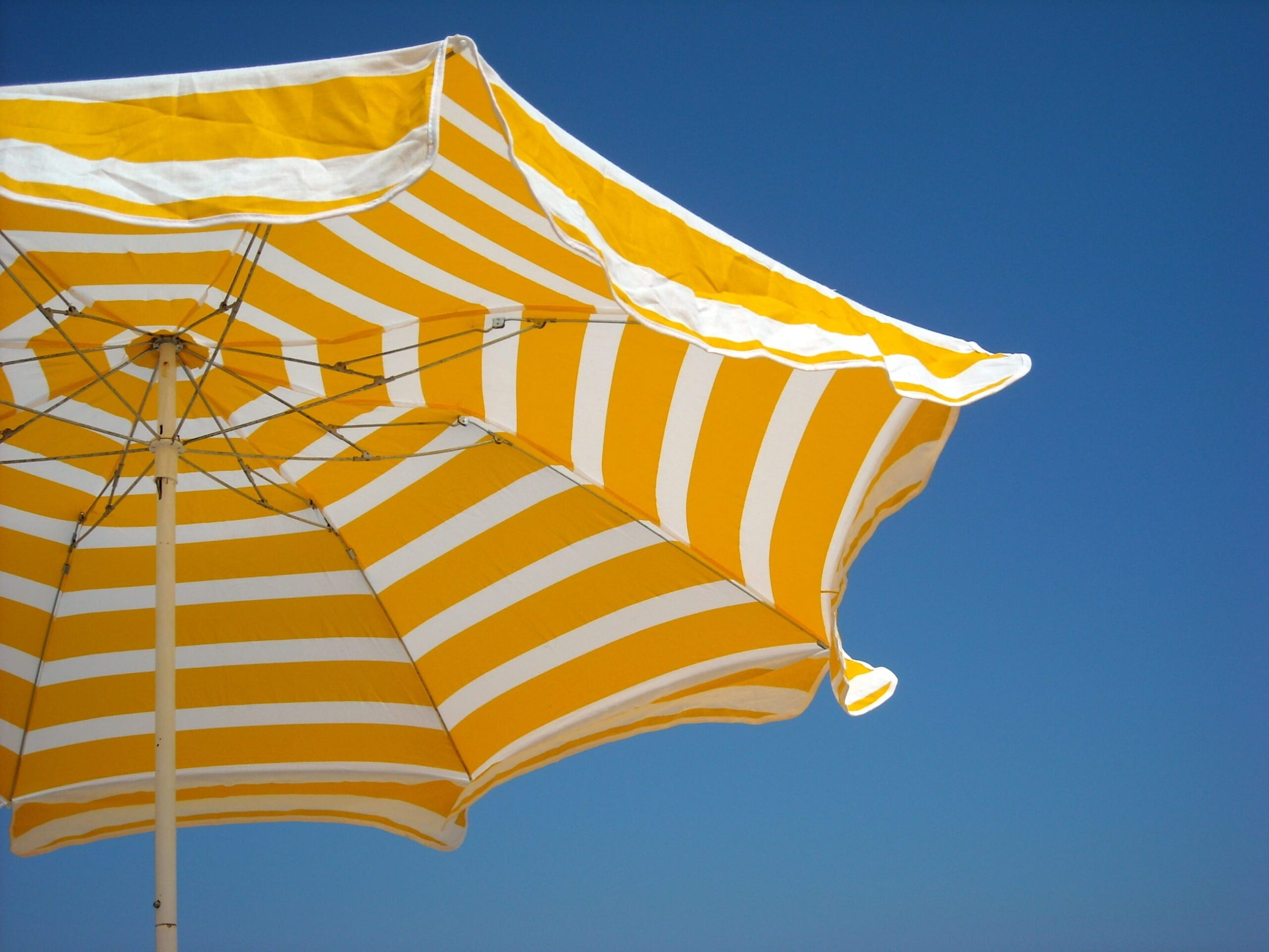 parasol