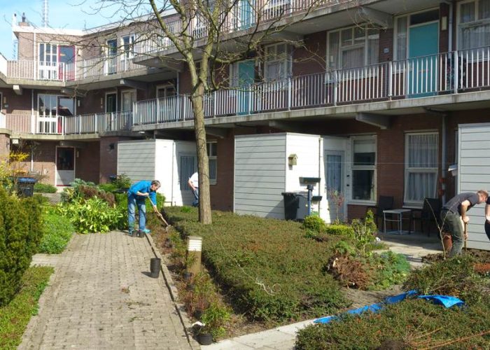 tuininplantdag
